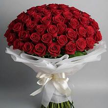 Букет 101 Красная роза Блэк Мэджик в Вельске