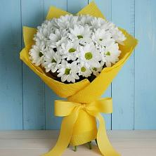 Букет цветов из:  Хризантемы в Вельске