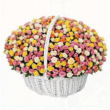 Премиум букет из: Розы в Вельске