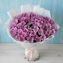 Букет цветов из:  Хризантемы в Вельске