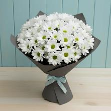 Букет цветов из:  Хризантемы #REPLACE_PRED# Вельске