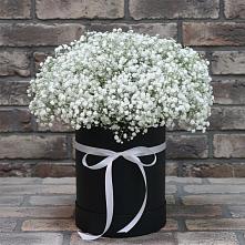 Цветочная композиция из Гипсофила в шляпной коробке в Вельске