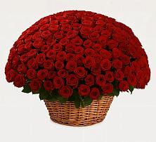 Премиум букет из: Розы в Вельске