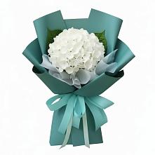 Букет цветов из:  Гортензия #REPLACE_PRED# Вельске